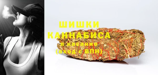 индика Арсеньев