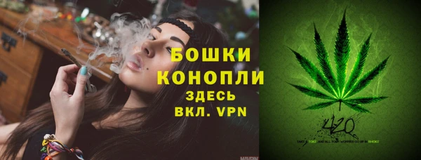 индика Арсеньев