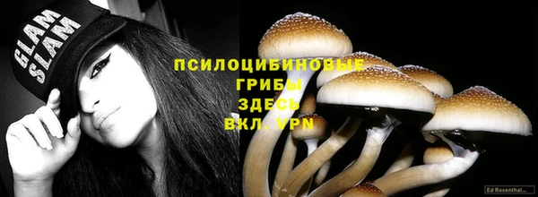 индика Арсеньев
