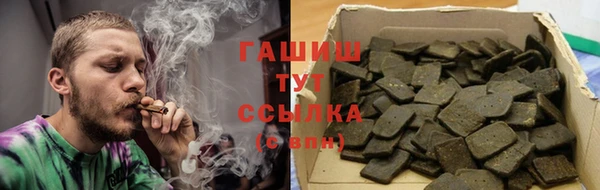 индика Арсеньев