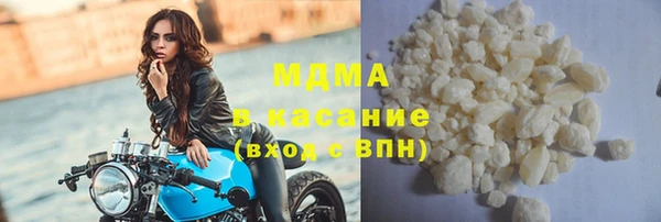 индика Арсеньев