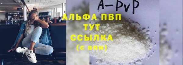 индика Арсеньев