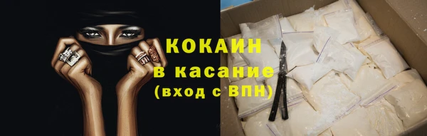 индика Арсеньев