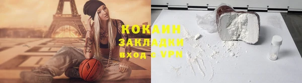 индика Арсеньев