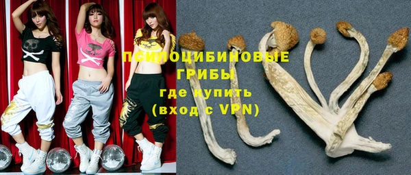 индика Арсеньев
