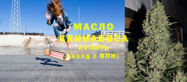 индика Арсеньев