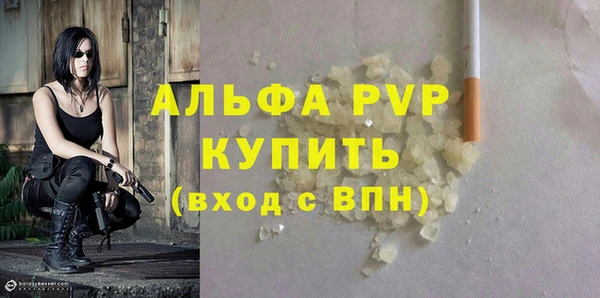индика Арсеньев