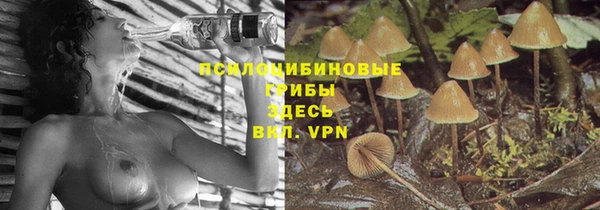 индика Арсеньев