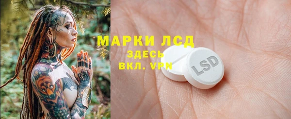 индика Арсеньев